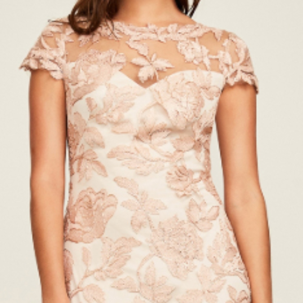 Tadashi Shoji Halona Nude Blush Gold Lace Dress